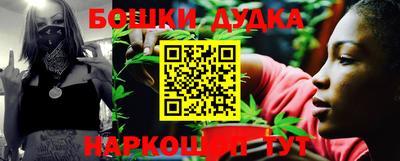 бошки Дубна