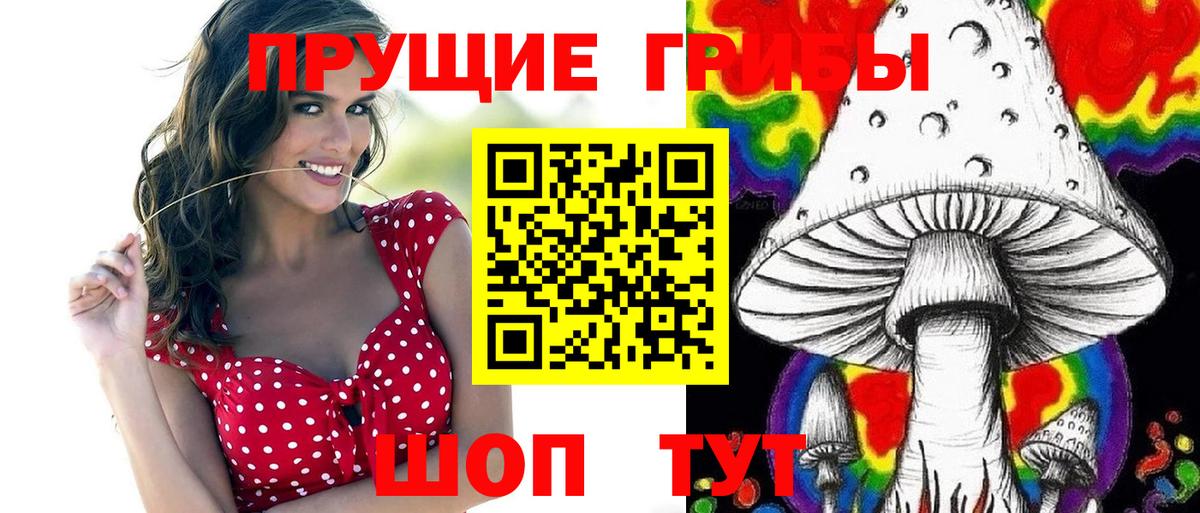 Галлюциногенные грибы Cubensis Кострома